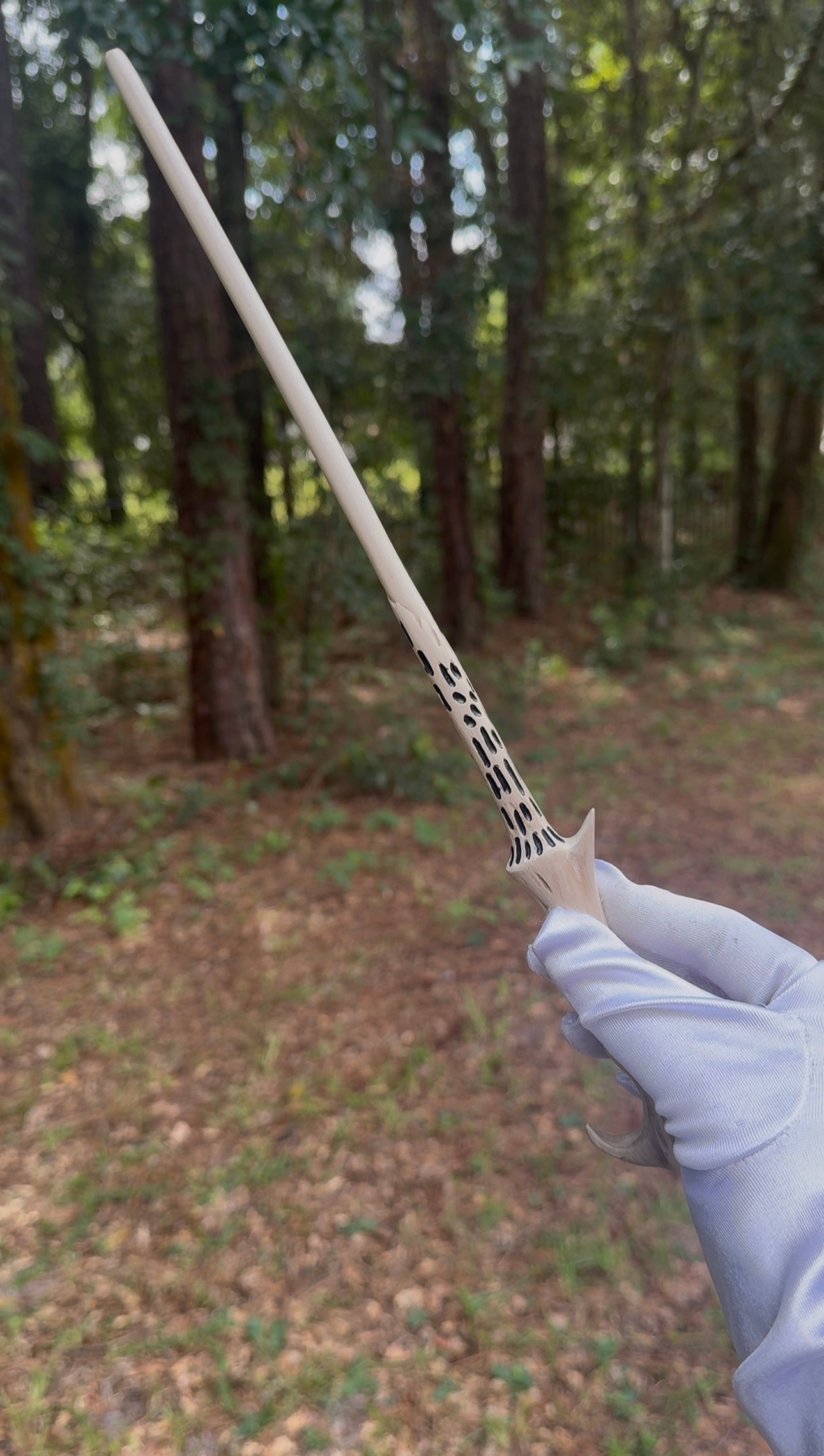 AshenElderCo. Collector's Bundle